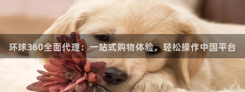 7790必发集团4平台：环球360全面代理：一站式购物体验，轻松操作中国平台