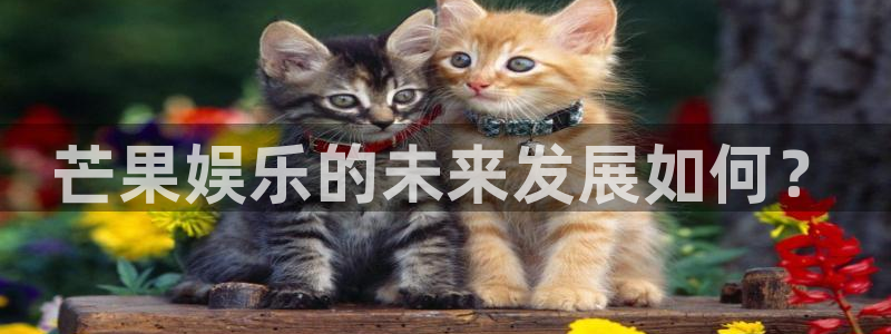 7790必发集团环保：芒果娱乐的未来发展如何？