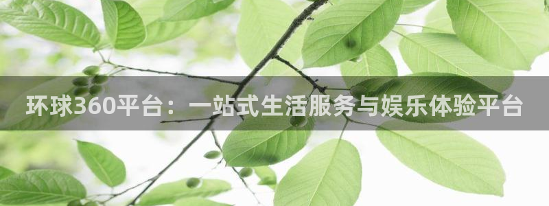 7790必发集团平台注册入口：环球360平台：一站式生活服务与娱乐体验平台