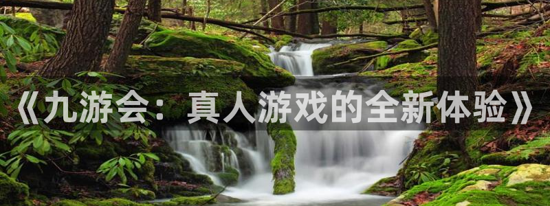 7790必发集团平台招商：《九游会：真人游戏的全新体验》