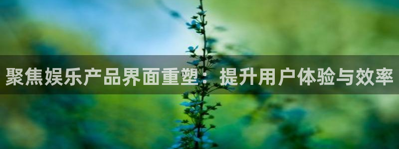 7790必发集团3登陆：聚焦娱乐产品界面重塑：提升用户体验与效率