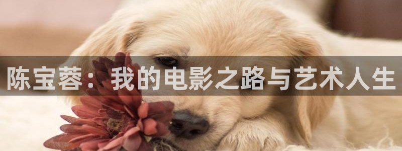 7790必发集团5招商：陈宝蓉：我的电影之路与艺术人生