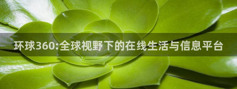 7790必发集团4代理：环球360:全球视野下的在线生活与信息平台