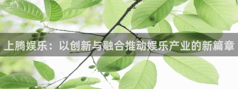 7790必发集团体育平台登录入口：上腾娱乐：以创新与融合推动娱乐产业的新篇章