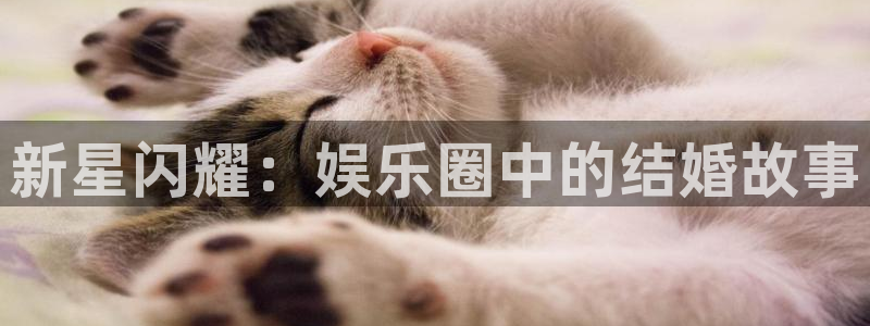 7790必发集团股份：新星闪耀：娱乐圈中的结婚故事