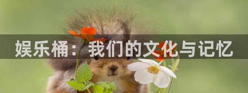 7790必发集团体育和杏耀是哪个公司的：娱乐桶：我们的文化与记忆
