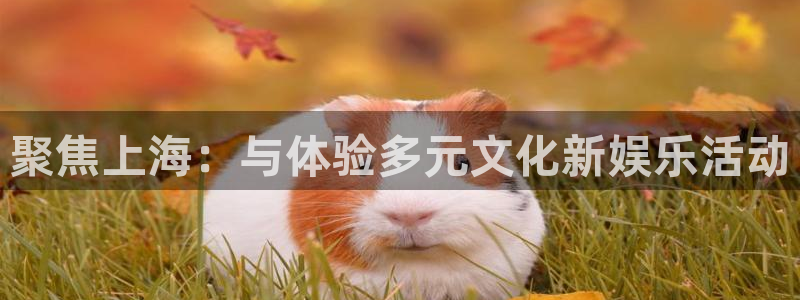 7790必发集团2登录入口：聚焦上海：与体验多元文化新娱乐活动