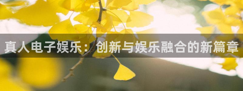 7790必发集团包怎么样：真人电子娱乐：创新与娱乐融合的新篇章