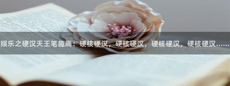 福建7790必发集团机电股份公司：娱乐之硬汉天王笔趣阁：硬核硬汉，硬核硬汉，硬核
