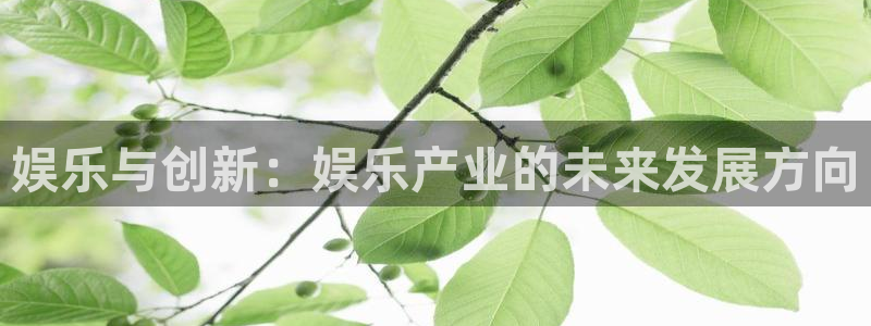 7790必发集团体育和杏耀是哪个公司的：娱乐与创新：娱乐产业的未来发展方向