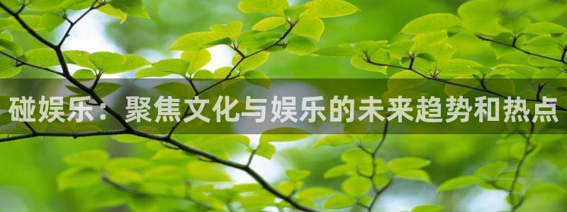 7790必发集团体育老板是谁：碰娱乐：聚焦文化与娱乐的未来趋势和热点