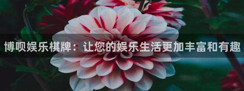 7790必发集团体育凯捷代理注册：博呗娱乐棋牌：让您的娱乐生活更加丰富和有趣