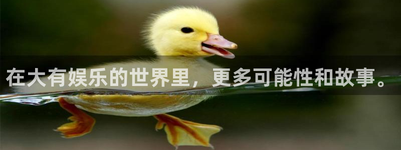 7790必发集团体育和杏耀是哪个公司的：在大有娱乐的世界里，更多可能性和故事。