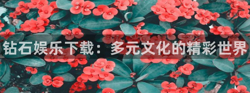 7790必发集团体育f开号：钻石娱乐下载：多元文化的精彩世界